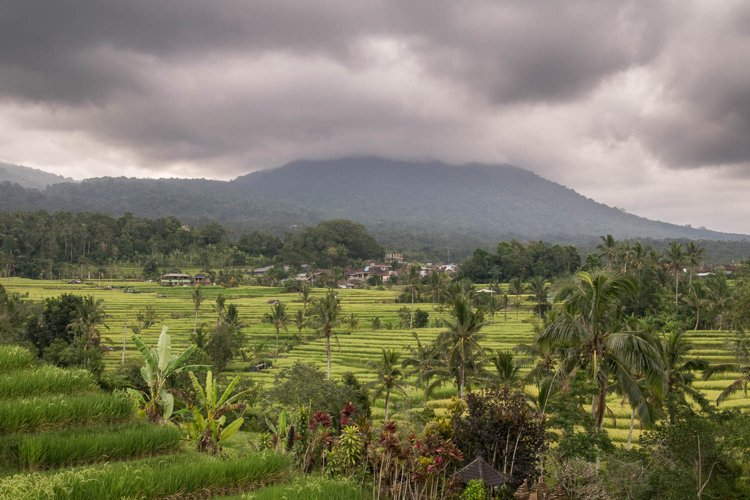 Rizières de Jatiluwih, patrimoine culturel de l'Unesco, Bali
